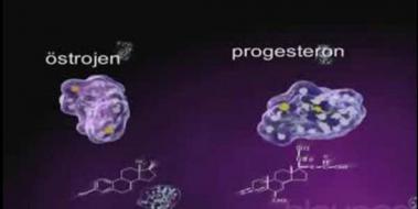 strojen ve Progesteron